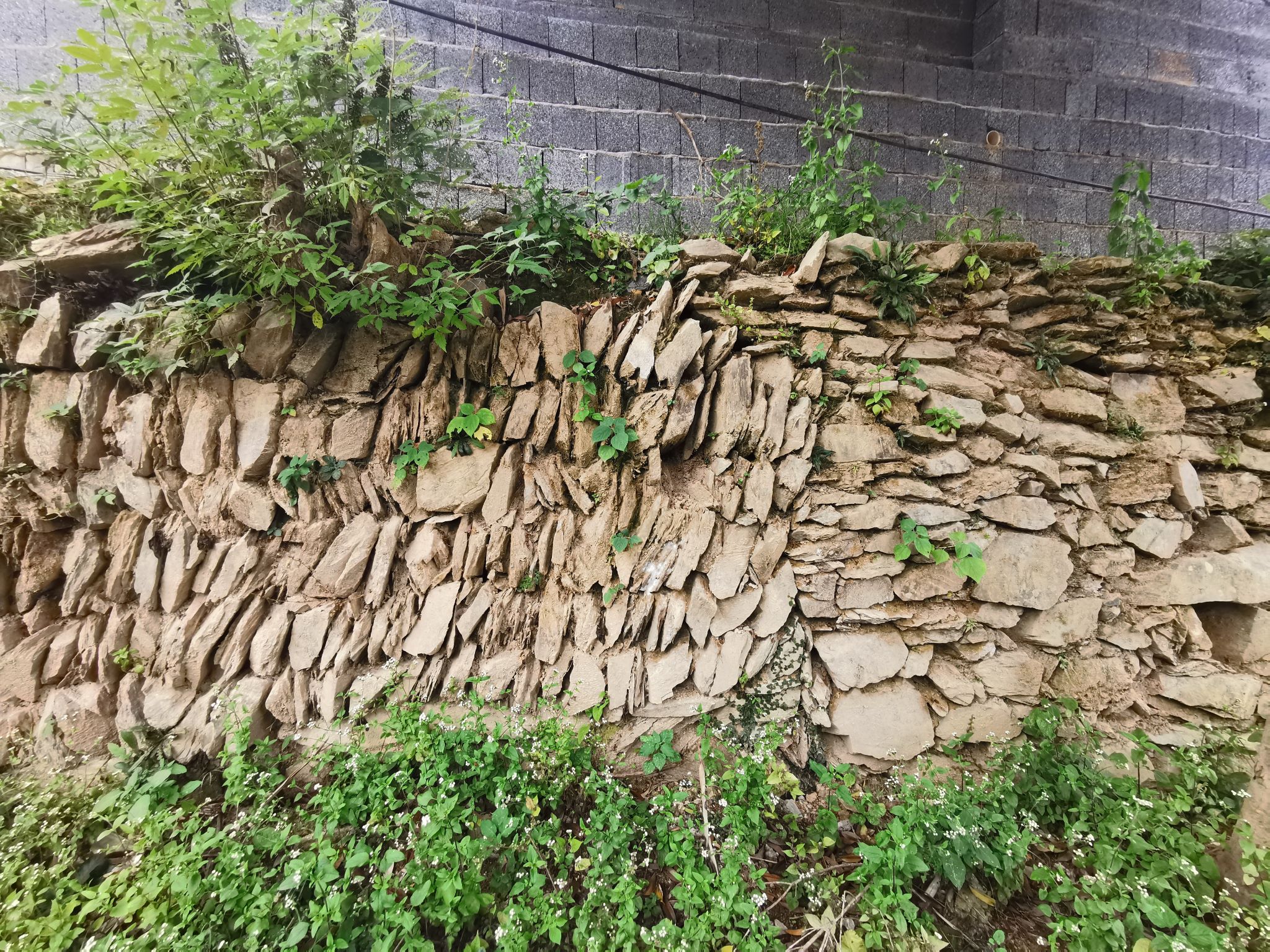 6-2樟村坞码头护坡墙所示砌筑方式.jpg