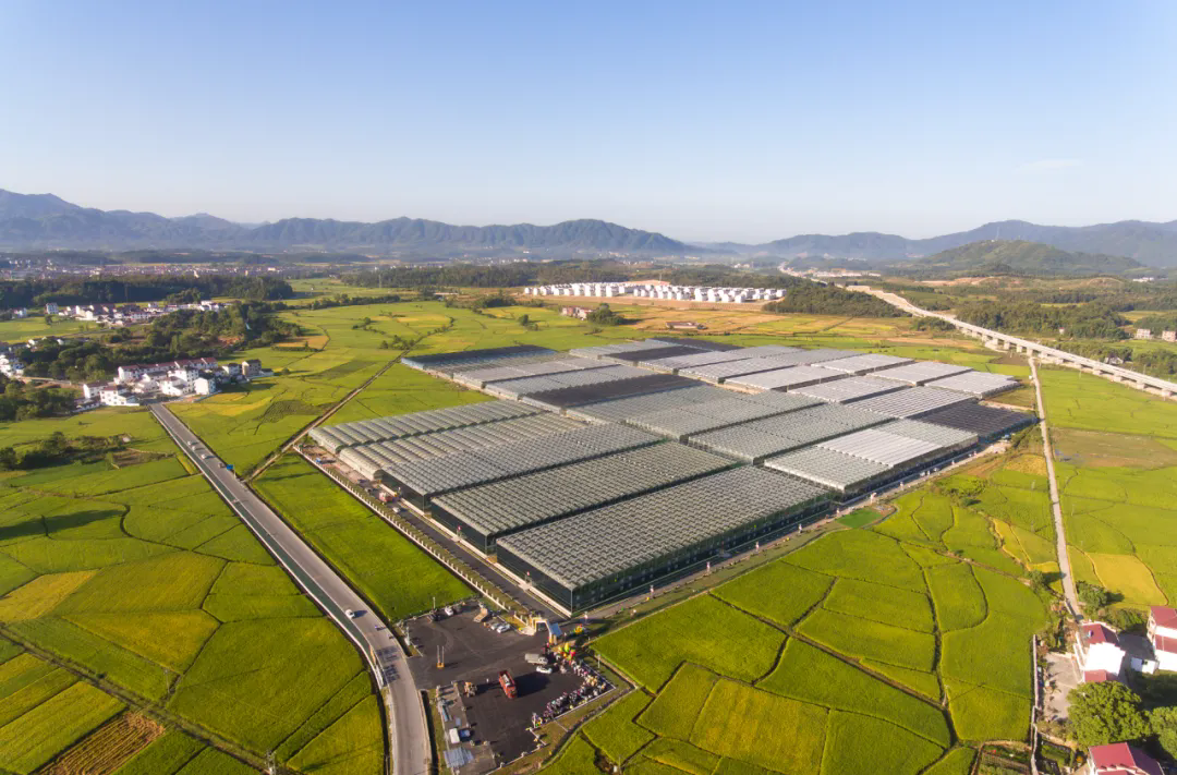 640_wx_fmt=jpeg&from=appmsg&tp=webp&wxfrom=5&wx_lazy=1&wx_co=1.webp (2).png