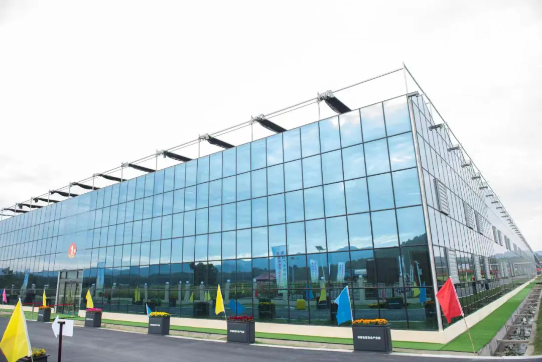 640_wx_fmt=jpeg&from=appmsg&tp=webp&wxfrom=5&wx_lazy=1&wx_co=1.webp (3).png