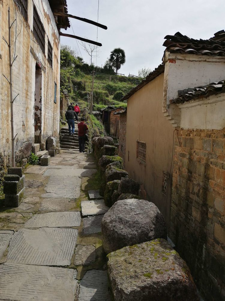 曹村