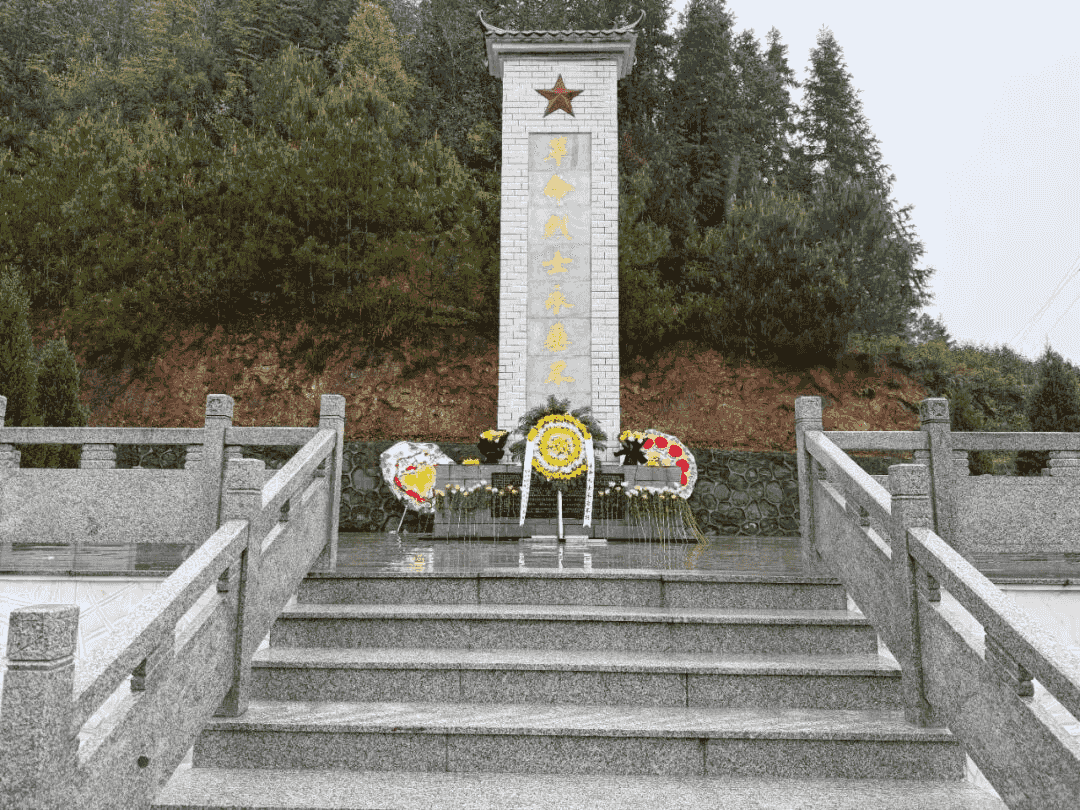 图片12.png